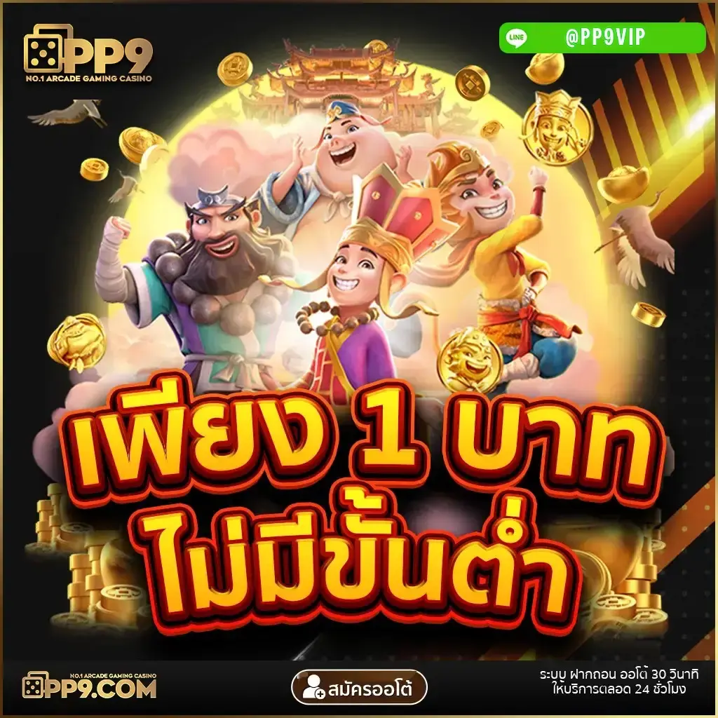 PP9